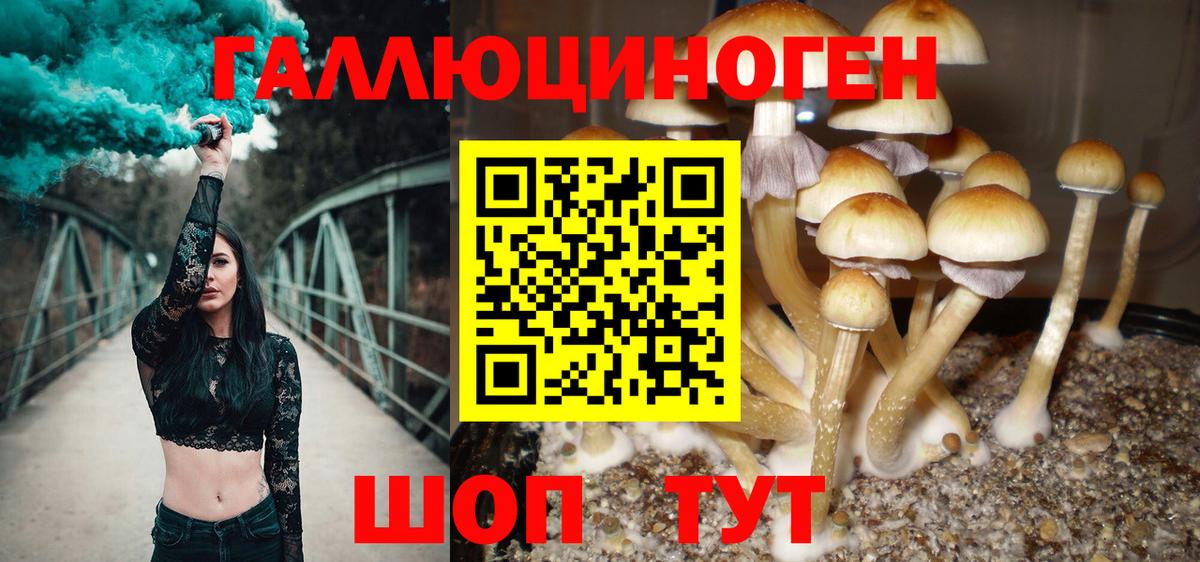 Псилоцибиновые грибы Magic Shrooms Знаменск