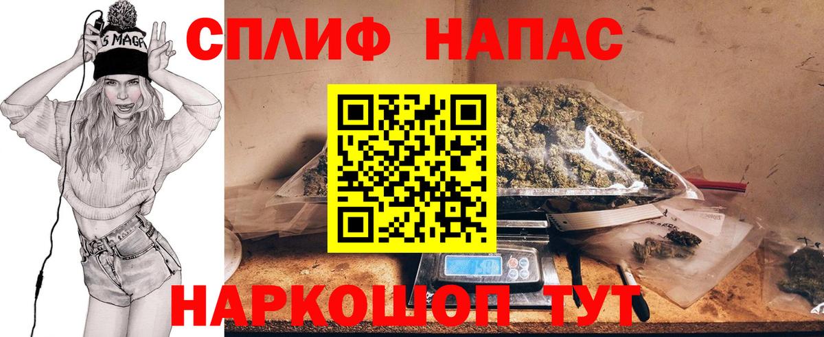 Каннабис индика Знаменск